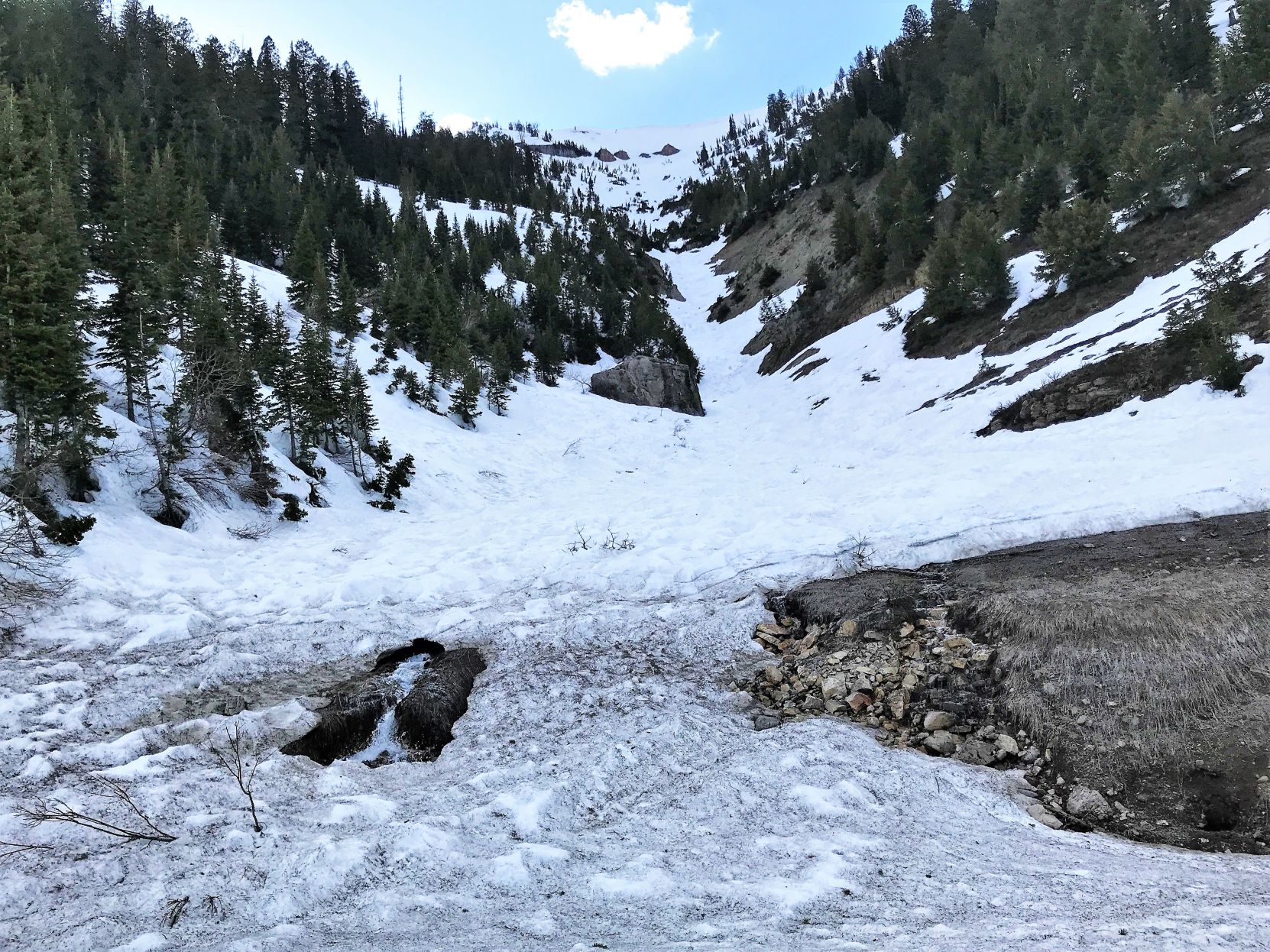 Mountain Snow